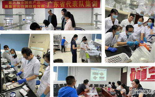 南海所質檢中心指導農安水產組競賽創(chuàng)佳績 獲全國大獎并受省通報表彰